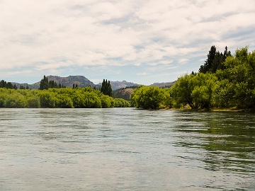 DSCN2910