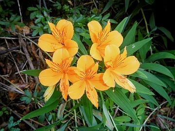 DSCN2943