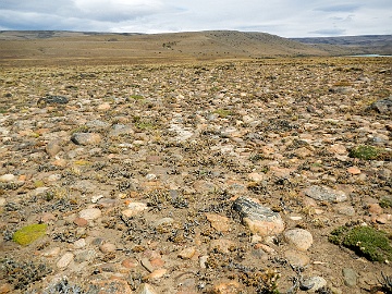 DSCN3026