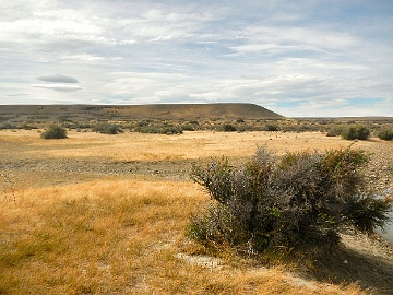 DSCN3104