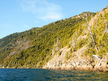 DSCN3323