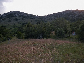 DSCN2595