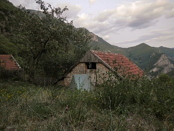 DSCN4240
