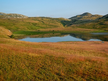 DSCN4643