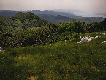 DSCN2203