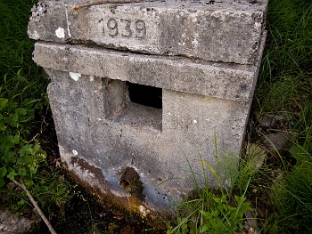 DSCN2752