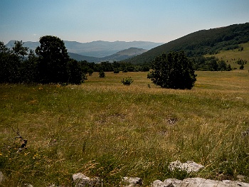 DSCN2834