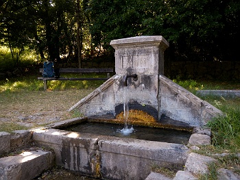 DSCN2865