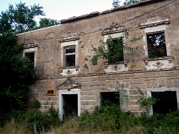 DSCN2866