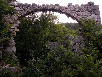 DSCN2867