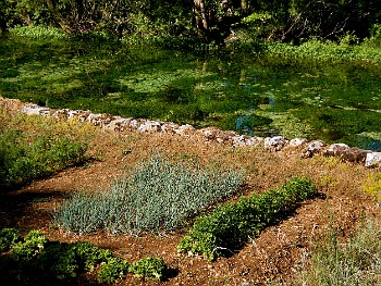 DSCN3187