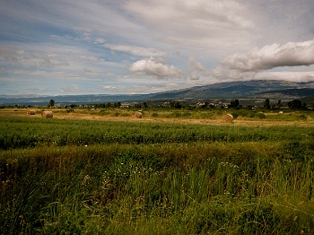 DSCN3419