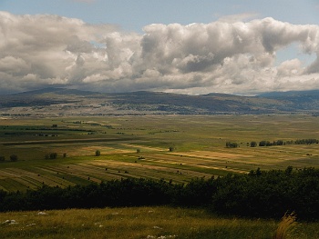 DSCN3642