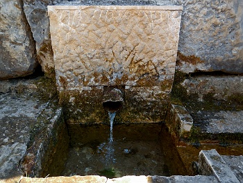 DSCN3657