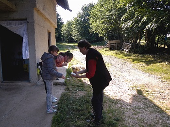 DSCN3738