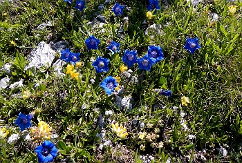 DSCN3833