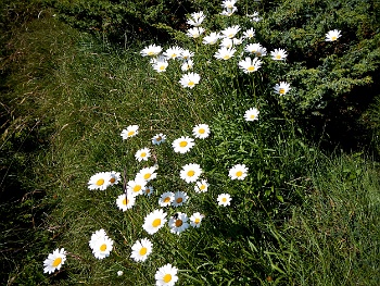 DSCN3873