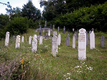 DSCN3954