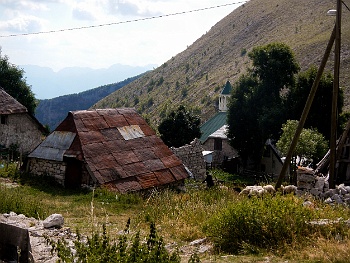 DSCN4307