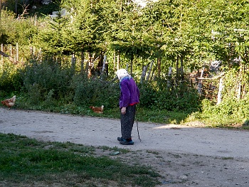 DSCN4391