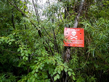 DSCN4461