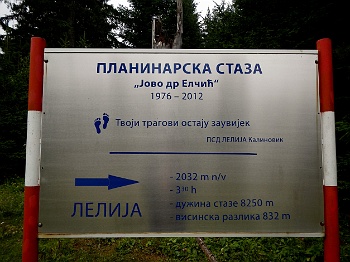 DSCN4595