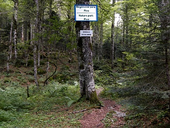 DSCN4766