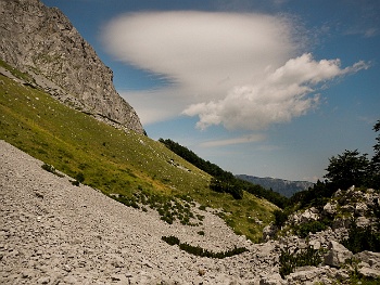 DSCN4794