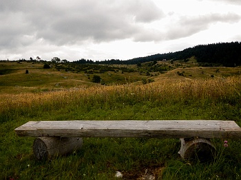 DSCN4906