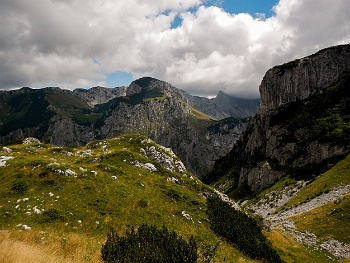 DSCN4986