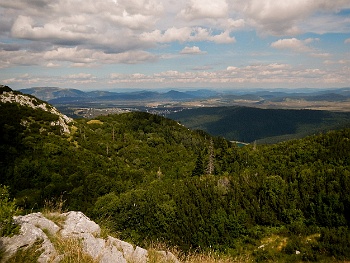 DSCN5088