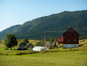 DSCN5114