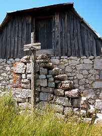 DSCN5197