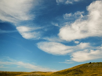 DSCN5227