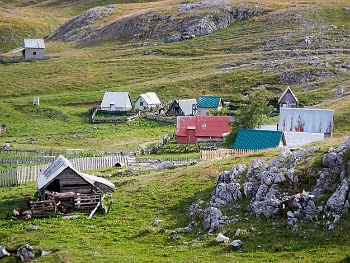 DSCN5230