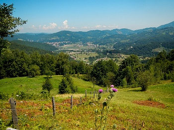 DSCN5311