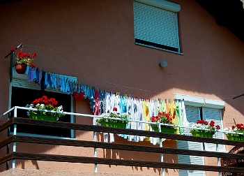 DSCN5315