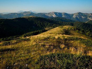DSCN5375
