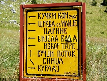 DSCN5493