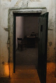 DSCN5684