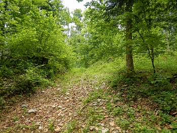DSCN1983