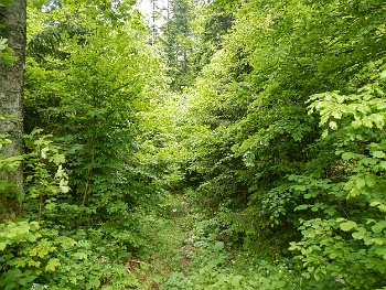 DSCN1984