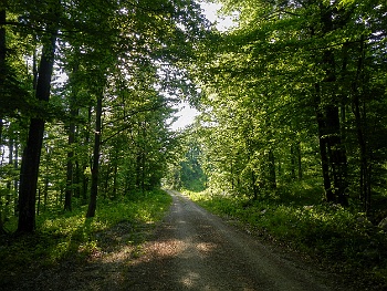 DSCN1991