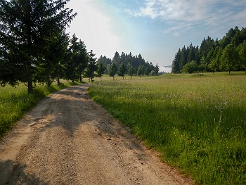 DSCN2002