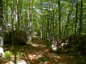 DSCN2048
