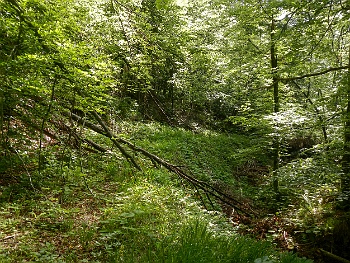 DSCN2078