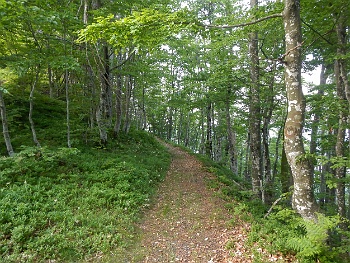 DSCN2087