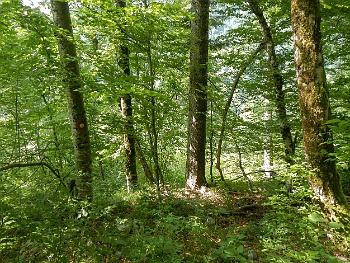 DSCN2094