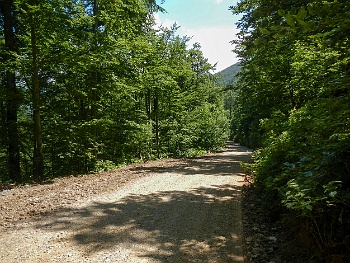 DSCN2157