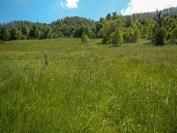DSCN2160